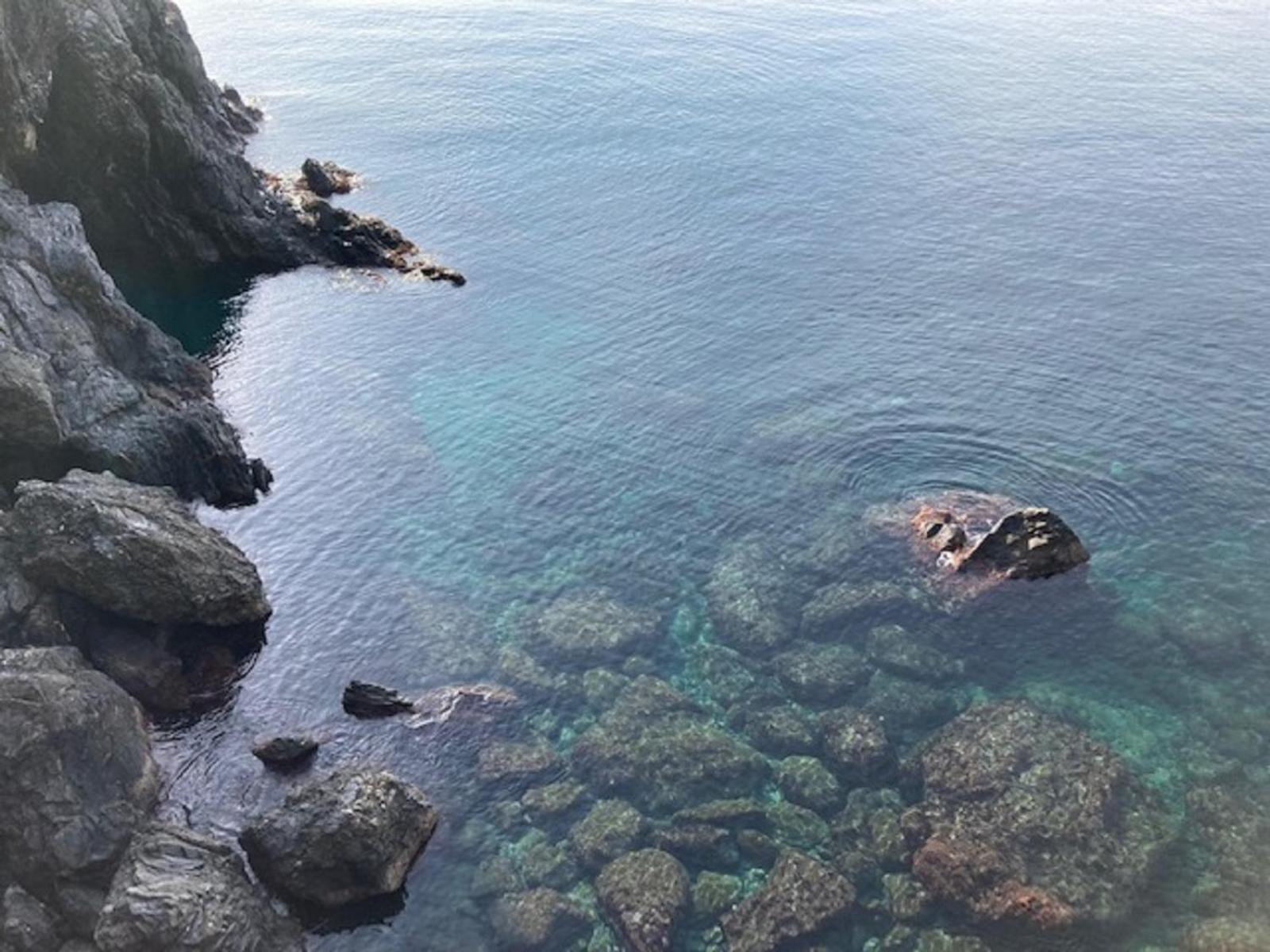 Pippo Cosy Studio Flat With Ac Monterosso al Mare Ngoại thất bức ảnh